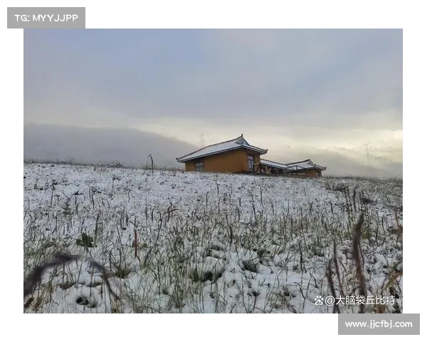 冬季湖畔的诗意之旅十大必访地点 追寻雪景与静谧的完美邂逅